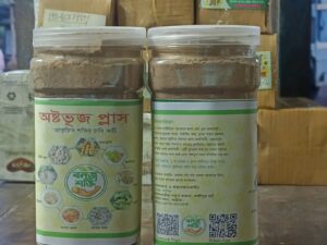 অস্টভুজ প্লাস