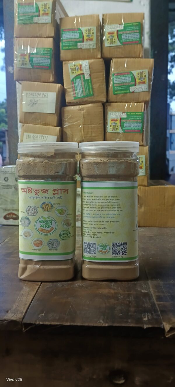 অস্টভুজ প্লাস
